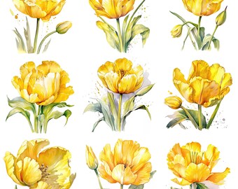 Yellow Tulip Clipart Bundle, 11 High Quality PNG Images, Transparent Background, Card Making, Commercial Use, Digital Download