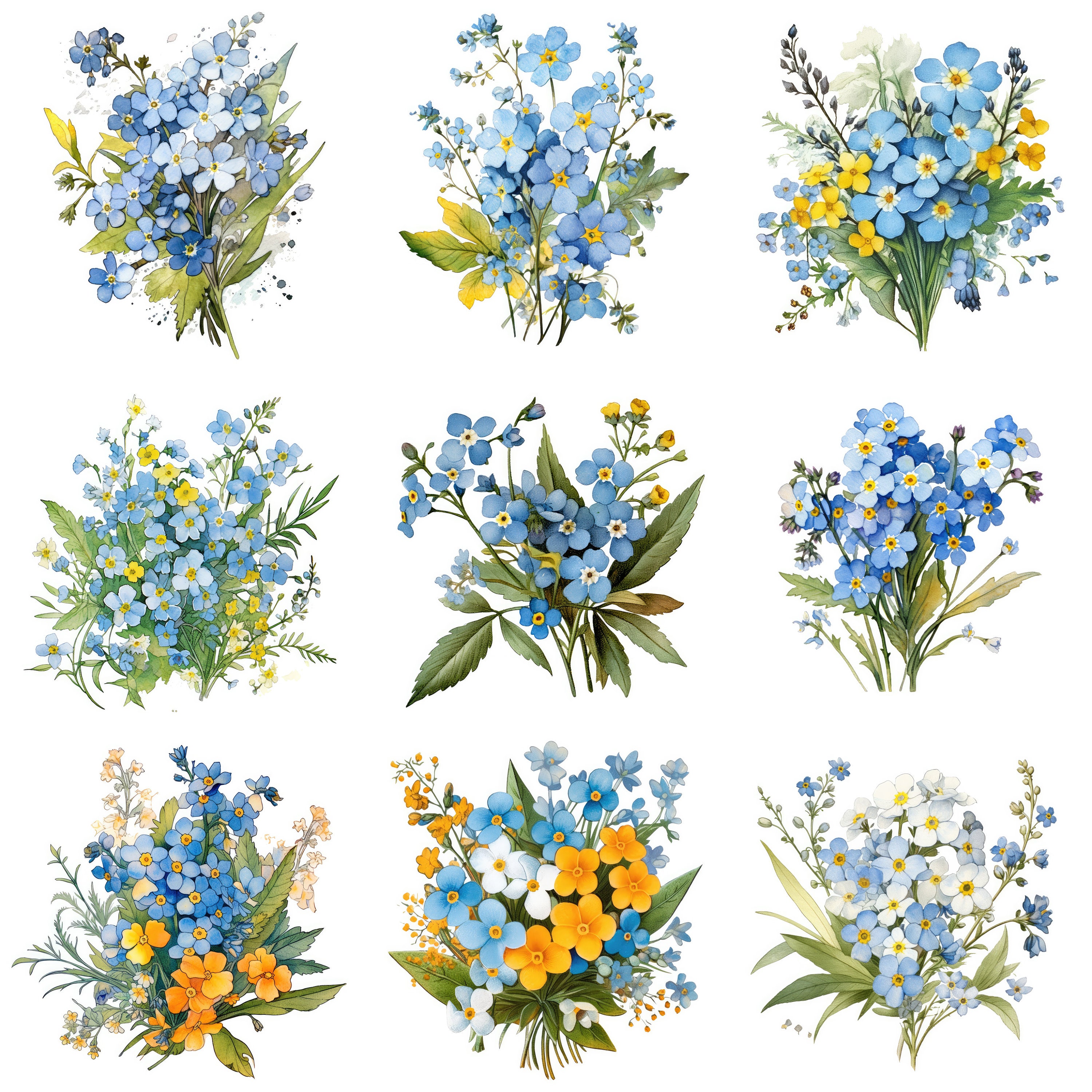 Forget-me-not Printable Flower Art Set 2, 10 High Quality Jpgs ...