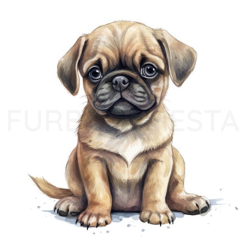 Pug Puppy Clipart, 12 hoge kwaliteit JPG, PNG, aquarel, kaart maken, afdrukbaar, kunst aan de muur, commercieel gebruik, digitale download afbeelding 4