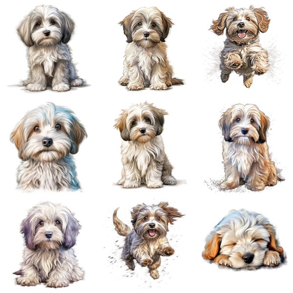 Havaneser Welpe druckbare Hundekunst, 14 hochwertige JPG, PNG, Aquarell Clipart Bundle, Welpen Druck, Hunde Poster, Hunde Wandkunst, kommerzielle Nutzung