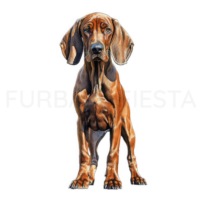 Redbone Coonhound Puppy Printable Dog Art, 16 High Quality JPG, PNG ...