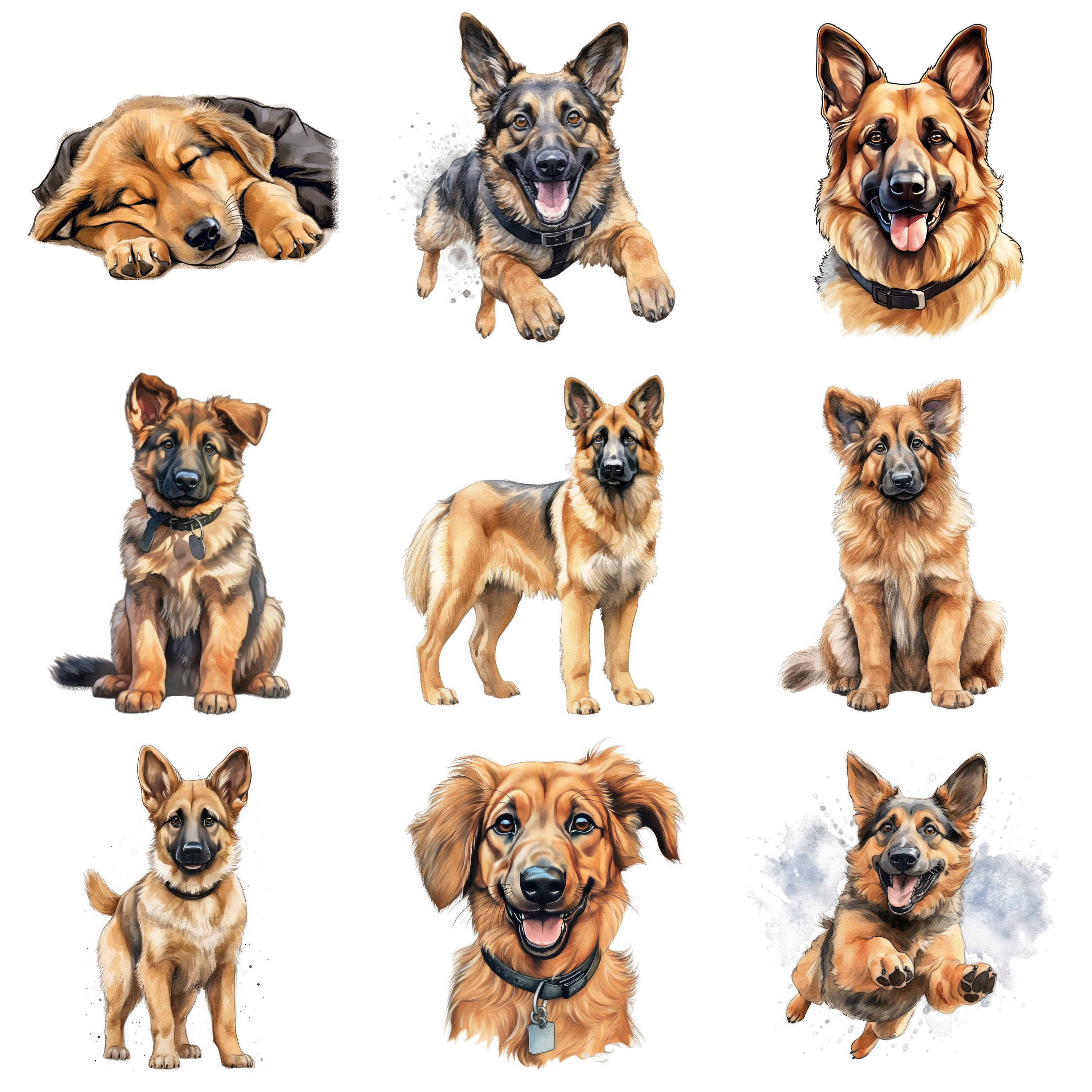 German Shepherd Puppy Clipart, 18 High Quality JPG, PNG, Watercolor