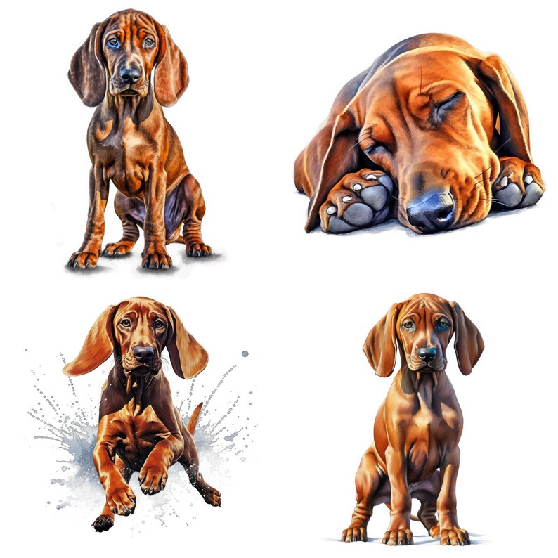 Redbone Coonhound Puppy Printable Dog Art, 16 High Quality JPG, PNG ...