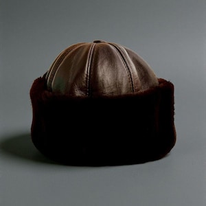 May include: A dark brown leather cap featuring a paneled dome construction and a wide, plush dark brown faux fur band encircling the base. The leather has a smooth, polished finish with visible stitching along the seams of the crown.