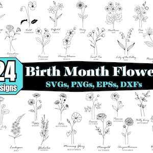 SVG de flores del mes de nacimiento, 24 diseños de flores del mes de nacimiento, flor de nacimiento, mes de nacimiento, paquete de SVG de flores, SVG florales, flores silvestres, SVG de cumpleaños