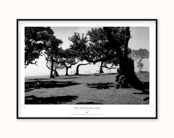 Madeira Fanal Print | The Ghosts of Fanal Mystical Forest Wall Art Poster