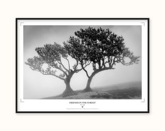 Madeira Fanal Print | Friends in Forest Misty Trees Wall Art Poster
