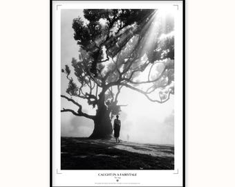 Madeira Forest Print | Mystical Tree Fog Wall Art | Black White Fairytale Poster