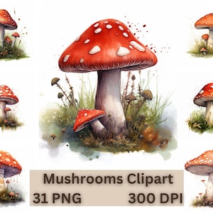 Aquarell Pilze Clipart, 31 hochwertige PNGs, Wald Clipart, Pilz Illustration, digitaler Download, sofortiger Download, kommerzielle Nutzung