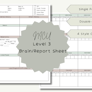 NICU Level 3 Brain/Report Sheet/1 Patient