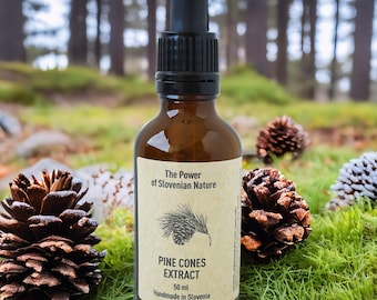 Tintura (estratto) di pigne di pino domestico (Pinus pinea) dalla Slovenia.