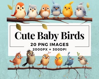 20 Cute Baby Birds Clipart Pack DESCARGA INSTANTE 20 Adorables crías de aves, fondo transparente PNG, uso personal y comercial. THS004