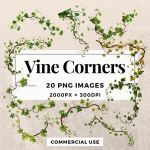20 Vine Corners Clipart Pack INSTANT DOWNLOAD 20 Elegant Vine Corner Illustrations, PNG Transparent Background, Commercial Use. THS003