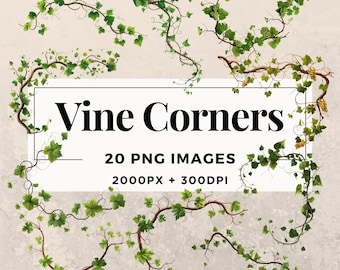 20 Vine Corners Clipart Pack INSTANT DOWNLOAD 20 Elegant Vine Corner Illustrations, PNG Transparent Background, Commercial Use. THS003
