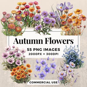 Pack de 55 cliparts fleurs d'automne TÉLÉCHARGEMENT IMMÉDIAT 55 illustrations florales sur le thème de l'automne, arrière-plan PNG transparent, usage commercial. THS003