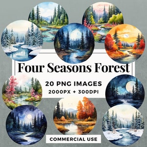20 Four Seasons Forest Clipart Pack INSTANT DOWNLOAD 20 seizoensgebonden bosillustraties, transparante PNG-achtergrond, commercieel gebruik. THS001