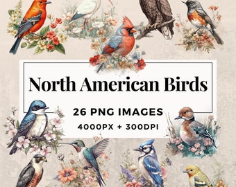 26 North American Birds Clipart Pack INSTANT DOWNLOAD Wildlife Art, PNG transparent background images, personal & commercial use. THS003