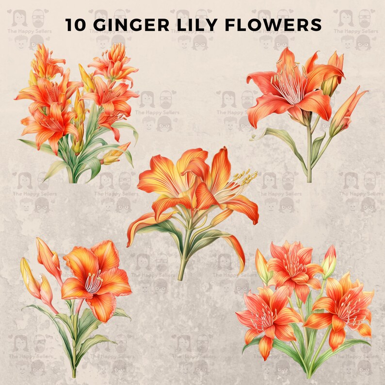10 Ginger Lily Flowers Clipart Pack INSTANT DOWNLOAD 10 - Etsy