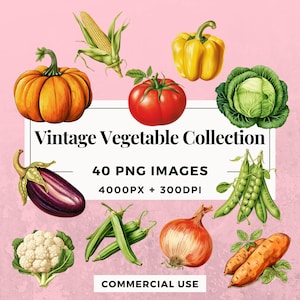 40 Vintage Vegetable Collection Clipart Pack INSTANT DOWNLOAD 40 Vegetable Illustrations, PNG Transparent Background, Commercial Use. THS006