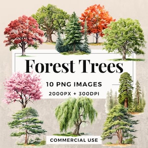 10 bosbomen clipart pack INSTANT DOWNLOAD 10 boomillustraties, PNG transparante achtergrond, persoonlijk en commercieel gebruik. THS003