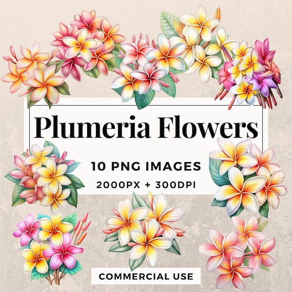 10 Plumeria Flowers Clipart Pack INSTANT DOWNLOAD 10 Floral Illustrations, PNG Transparent Background, Personal & Commercial Use. THS003