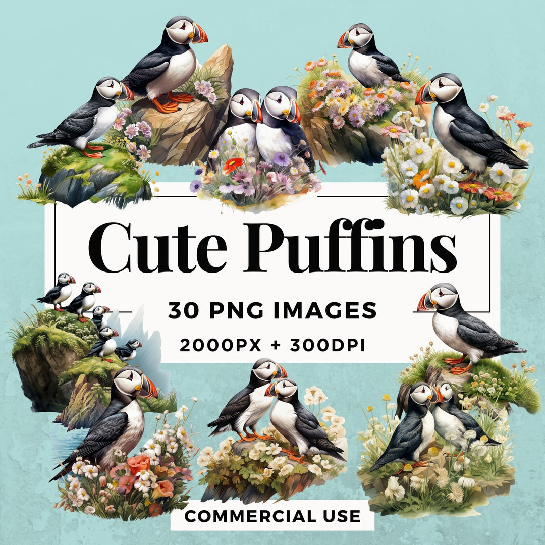 30 Cute Puffins Clipart Pack INSTANT DOWNLOAD 30 Adorable Puffin ...