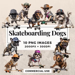Pacchetto di clipart di 10 cani da skateboard DOWNLOAD IMMEDIATO 10 illustrazioni di cani da skateboard, sfondo PNG trasparente, uso commerciale. THS003