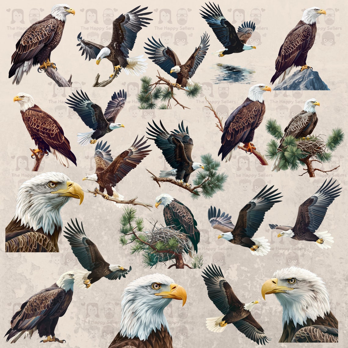 40 Bald Eagles Clipart Pack INSTANT DOWNLOAD Majestic Eagle ...