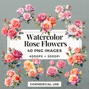 40 Watercolor Rose Flowers Clipart Pack INSTANT DOWNLOAD Delicate Floral Illustrations, PNG Transparent Background, Commercial Use. THS001