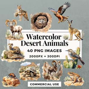 40 Pacote de clipart de animais do deserto em aquarela DOWNLOAD INSTANTÂNEO Ilustrações de animais do deserto, fundo transparente PNG, uso comercial. THS001