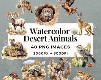 40 Watercolor Desert Animals Clipart Pack INSTANT DOWNLOAD Desert Animal Illustrations, PNG Transparent Background, Commercial Use. THS001
