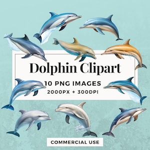 10 Delfin Clipart Pack SOFORTIGER DOWNLOAD 10 Verspielte Delfin Illustrationen, PNG transparenten Hintergrund, persönliche und kommerzielle Nutzung. THS004