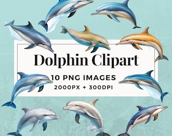 10 Dolphin Clipart Pack INSTANT DOWNLOAD 10 Playful Dolphin Illustrations, PNG Transparent Background, Personal & Commercial Use. THS004