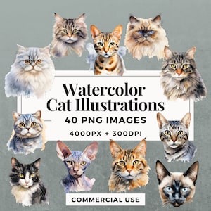 40 Watercolor Cat Illustrations Clipart Pack INSTANT DOWNLOAD 40 Charming Feline Artworks, PNG Transparent Background, Commercial Use.THS001