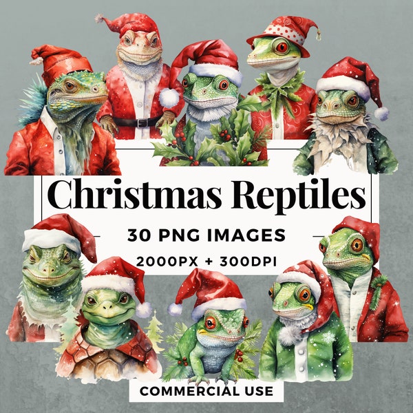 30 Christmas Reptiles Clipart Pack INSTANT DOWNLOAD 30 Festive Reptile Illustrations, PNG Transparent Background, Commercial Use. THS001