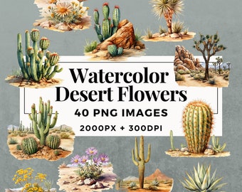 40 Watercolor Desert Flowers Clipart Pack INSTANT DOWNLOAD 40 Desert Flower Illustrations, PNG Transparent Background,Commercial Use. THS001