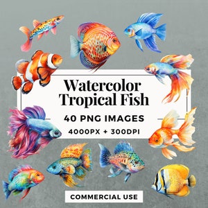 40 Watercolor Tropical Fish Clipart Pack INSTANT DOWNLOAD 40 Vibrant Fish Illustrations, PNG Transparent Background, Commercial Use. THS001