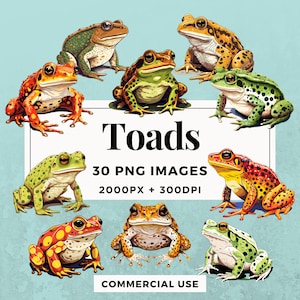 30 Toads Clipart Pack INSTANT DOWNLOAD 30 Whimsical Toad Illustrations, PNG Transparent Background, Personal & Commercial Use. THS004