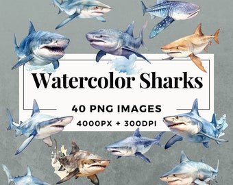 May include: Watercolor illustrations of various shark species, including a whale shark, a hammerhead shark, and a tiger shark. The illustrations are in a realistic style and feature vibrant colors. The text "Watercolor Sharks" and "40 PNG IMAGES 4000PX + 300DPI COMMERCIAL USE" is also included in the image.