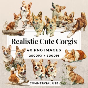 40 realistische niedliche Corgis-Clipart-Paket SOFORT-DOWNLOAD 40 entzückende Corgis-Illustrationen, PNG-transparenter Hintergrund, kommerzielle Nutzung. THS003
