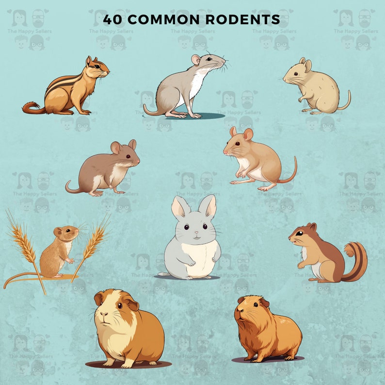 40 Common Rodents Clipart Pack INSTANT DOWNLOAD 40 Adorable Rodent ...