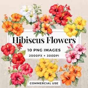 10 Hibiskus Blumen Clipart Pack SOFORTIGER DOWNLOAD 10 Hibiskus Blumen Illustrationen, PNG transparenten Hintergrund, kommerzielle Nutzung. THS003
