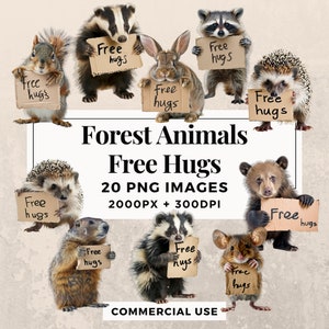 Pacchetto di clipart con 20 abbracci gratuiti per animali della foresta - DOWNLOAD IMMEDIATO, sfondo PNG trasparente, uso personale e commerciale. THS003