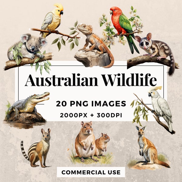 20 Australian Wildlife Clipart Pack INSTANT DOWNLOAD 20 Aussie Wildlife Illustrations, PNG Transparent Background, Commercial Use. THS003