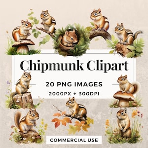 20 Chipmunk Clipart Pack INSTANT DOWNLOAD 20 Adorable Chipmunk Illustrations, PNG Transparent Background, Personal & Commercial Use. THS003