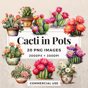 Paquete de imágenes prediseñadas de 20 cactus en macetas DESCARGA INSTANTE 20 ilustraciones de cactus en macetas, fondo transparente PNG, uso personal y comercial. THS003