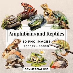 30 Amphibien und Reptilien Clipart Pack - SOFORTIGER DOWNLOAD, PNG transparenter Hintergrund, persönliche und kommerzielle Nutzung. THS003