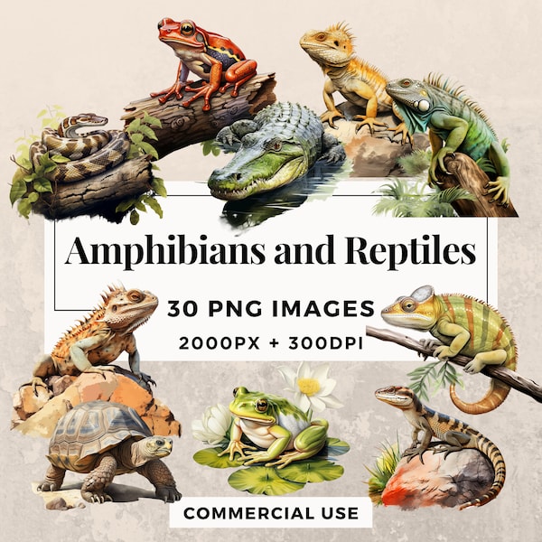 30 Amphibien und Reptilien Clipart Pack - SOFORTIGER DOWNLOAD, PNG transparenter Hintergrund, persönliche und kommerzielle Nutzung. THS003