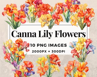 May include: A digital illustration of ten vibrant canna lily flowers in shades of orange, yellow, and red. The flowers are arranged in a bouquet and have green leaves. The image is labeled "Canna Lily Flowers, 10 PNG Images, 2000px + 300dpi, Commercial Use."