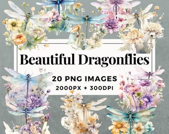 20 Beautiful Dragonflies Clipart Pack INSTANT DOWNLOAD 20 Dragonfly Illustrations, PNG Transparent Background, Commercial Use. THS001